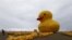 A giant inflatable doll in the shape of a duck is seen on Copacabana beach, in Rio de Janeiro, Brazil. The campaign "I will not pay the Duck" is organized by the Federation of Industries of Rio de Janeiro (FIRJAN) and uses the duck symbol in reference to industries that pay high taxes.