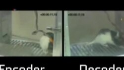 Controlar la mente ajena