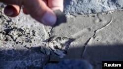 Minik Rosing, Professor at University of Copenhagen, presents glacial mud close to Nuuk, Greenland, September 10, 2021. (REUTER)