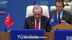 北约峰会关切国防预算，俄乌，伊朗等议题