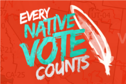 Courtesy graphic from the National Congress of American Indians, whose #NativeVote campaign seeks to improve Native American and Alaska Native access to the ballot box.