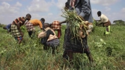 USAID's New Focus On Resilience