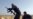 ICRC Seeks Access to All of Libya as Conflict Intensifies