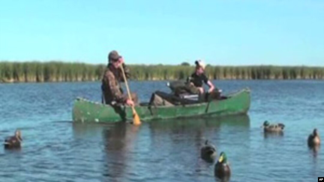 Hunters traditionally use decoys to lure waterfowl - mostly ducks and geese - close enough to shoot.