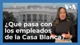 ¿Qué empleados se quedan o se van de la Casa Blanca con la llegada de Donald Trump?