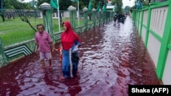 Beberapa warga berjalan melewati jalanan yang digenangi banjir berwarna merah karena bercampur dengan limbah sebuah pabrik batik di Pekalongan, Jawa Tengah, 6 Februari 2021. (Foto: Shaka/AFP)