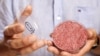 Hamburger Grown in Laboratory