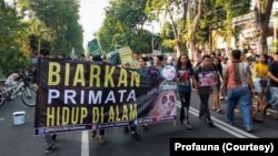 Kampanye Hari Primata oleh aktivis dan relawan Profauna Indonesia di Surabaya berkeliling di kawasan Taman Bungkul saat car free day, Minggu, 26 Januari 2020. (Foto: Profauna).