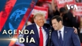 Medios estadounidenses aseguran que el presidente electo, Donald Trump, eligió al senador Marco Rubio como secretario de Estado.