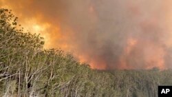 Khói bụi từ các đám cháy rừng ở Lake Conjola, Australia, ngày 2/1/ 2020.