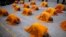 Buddhist monks perform the "three steps one bow" ceremony at Kong Meng San Phor Kark See Monastery in Singapore on the eve of Vesak Day to commemorate the birth, enlightenment and death of Buddha.