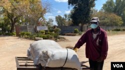 FILE - Aleck Mugopa, 52, pictured July 30, 2020, in Harare, says that since the beginning of the lockdown in Zimbabwe, there are times when his family has gone without a decent meal. (Columbus Mavhunga/VOA)