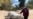 Zimbabwe's Food Insecurity Escalates During COVID-19 Lockdowns