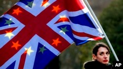 Un manifestante sostiene bandera en una manifestación contra el Brexit frente a la Cámara del Parlamento en Londres, el martes 27 de noviembre de 2018.