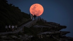 Bulan purnama terbit di belakang orang-orang yang berdiri di Pantai Bondi di kota Sydney, Australia. (AFP)&nbsp;