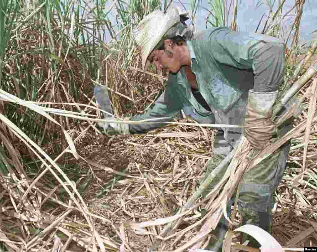 En 1970 fracasa la &quot;zafra de los 10 millones&quot;. Cuba voltea hacia la &#243;rbita econ&#243;mica sovi&#233;tica, y en 1972 ingresa en el Consejo de Ayuda Mutua Econ&#243;mica (Came).