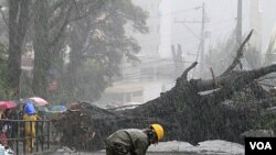 Seorang pekerja memeriksa kerusakan listrik akibat pohon tumbang saat topan Nanmadol melanda kota Baguio, timur Manila, Filipina (27/8).