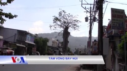 Tầm vông Bảy Núi