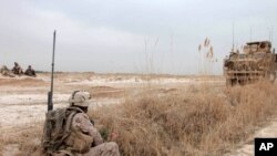 U.S. Marine Corps Cpl. Matthew W. Delari, with Charlie Company, 1st Battalion, 3rd Marine Regiment, provides security during a patrol near Marjah, Afghanistan, Feb. 21, 2010. Marines are linking up with other Task Force Helmand units in the area to discus