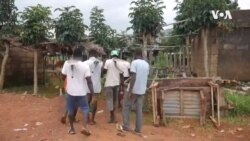 Nigeria Registers Steady Ginger Sales As COVID-19 Pandemic Ravages World