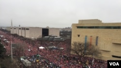 Marcha das Mulheres em Washington DC por direitos iguais. Jan 21, 2017