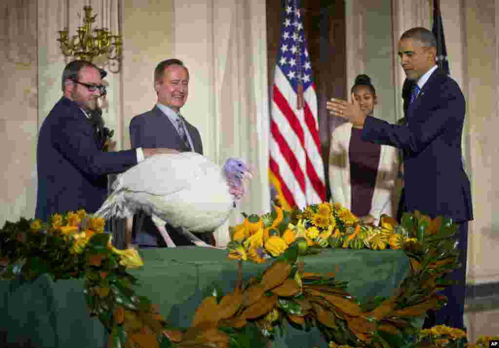 U.S. President Barack Obama, right, with daughter Sasha, carries on the Thanksgiving tradition of saving a turkey from the dinner table with a &quot;presidential pardon&quot; of &#39;Cheese&#39; in the Grand Foyer of the White House in Washington, Nov. 26, 2014.