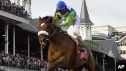 La imagen del 6 de mayo de 2006 recuerda el esplendor de Barbaro en plena carrera conducido por Edgar Prado al ganar el Kentucky Derby.