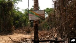 Papan pengumuman dalam Bahasa Portugis "Kawasan Dilindungi" di perbatasan antara tanah adat Menkragnotire dan Cagar Alam Serra do Cachimbo di Altamira, di negara bagian Para, Brazil, 31 Agustus 2019. 