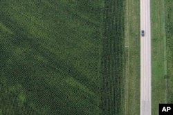 FILE- Sebuah mobil melaju melewati sebuah ladang pertanian di Hutto, Texas, 27 Juni 2007. (Matt Slocum/AP)