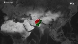 هشدار از تشدید جنگ پاکستان و افغانستان؛ ملل متحد خواستار آتش‌بس فوری شد 