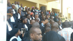 Mali Kiritigelaw Ka Nisogoya Yirali Niono Kiritige la Sungalo Kone ka Mineli kilen Keme Nan