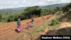 Jiraattotni aanaalee Amuruu fi Jaardagaa Jaartee tokko tokko, daandii mijataa dhabuun rakkanne jechuun komatan.