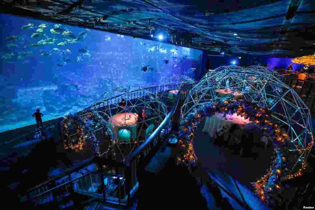 Dining pods are set up inside Resort World Sentosa's S.E.A Aquarium as it transforms into a pop-up restaurant called Aqua Gastronomy after the aquarium's opening hours in Singapore, Nov. 27, 2020.