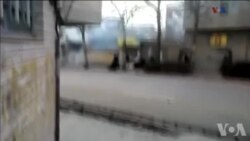 اخبار شامگاهی