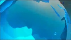 اخبار شبانگاهی