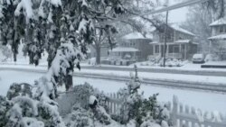 2012-yil oppoq, qalin qor bilan boshlandi