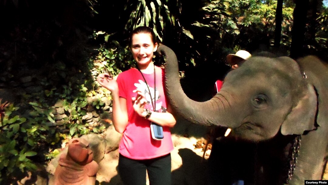 Đi thăm Trại Voi ở Chiang Mai, Thái Lan