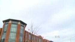 American Community of Somali Expatriates Unites Against Violence