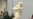 Sculpture Stumps Experts