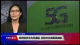 VOA连线(江静玲)：欧洲封杀华为持续发酵,关切中国因素比俄国更具威胁浮上抬面