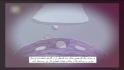 نکاتی درباره مسومیت با گاز اعصاب و یک انیمیشن برای راهنمایی شهروندان