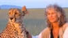 US Woman Fights to Save Cheetahs