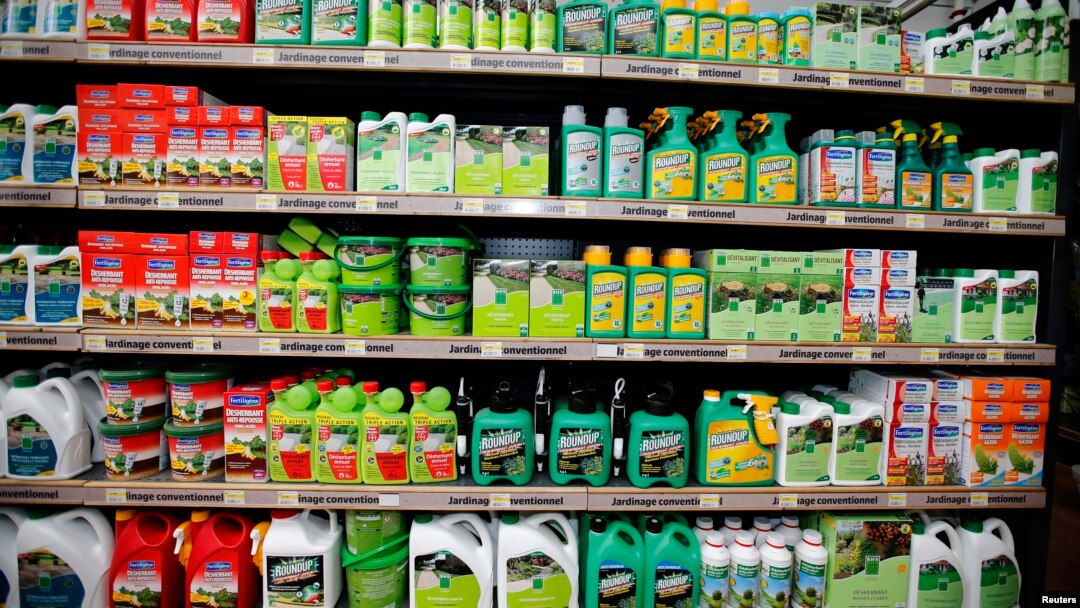 Weedkillers including Monsanto's Roundup are displayed for sale at a garden shop at Bonneuil-Sur-Marne near Paris, France, June 16, 2015. 