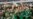 Tras ganar la Copa Oro, México inicia un proceso para elegir nuevo entrenador
