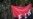 Colombia's ELN Rebels Call Cease-Fire for Festive Period