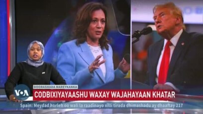 Digniinaha amni ee doorashada Mareykanka 