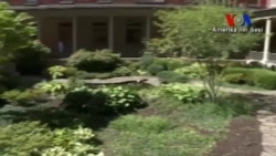 Hastanelerde "İyileştirme Bahçesi" Terapisi