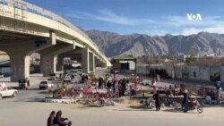 په کويټه کې د مرغانو پناه ځای جورولو لپاره د يو ځوان هڅې
