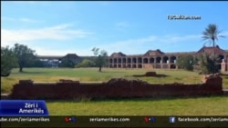 Micah Meyer në Ishujt Dry Tortugas