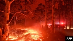 Bara api menutupi tanah saat petugas pemadam kebakaran bertempur melawan kebakaran hutan di sekitar kota Nowra di negara bagian New South Wales di Australia pada 31 Desember 2019. (Foto: AFP)